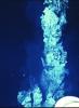 Bio9 hydrothermal chimney at EPR (2002)