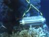 Video thumbnail for Hydrophone used to record the sound of hydrothermal venting (2004)