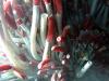 Tube worms near hydrothermal vents at EPR (2004)