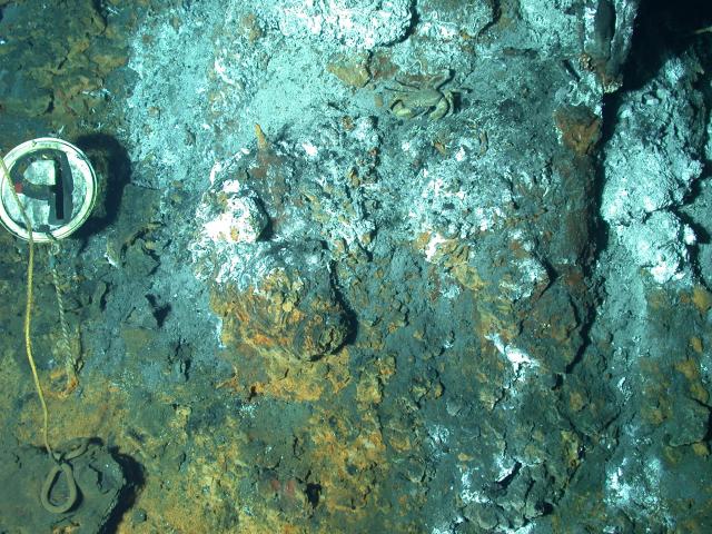 Base of P-vent at EPR (2004)