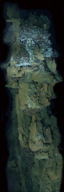 Hydrothermal Vent Photomosaic at Kilo Moana vent field (2005)