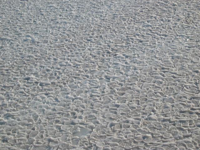 sea ice (2006)