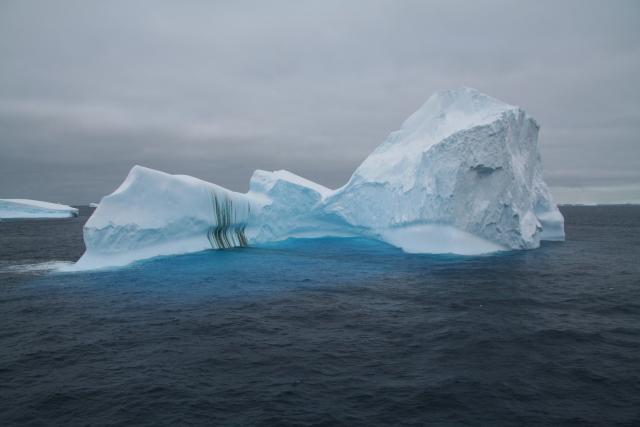 Iceberg (2007)