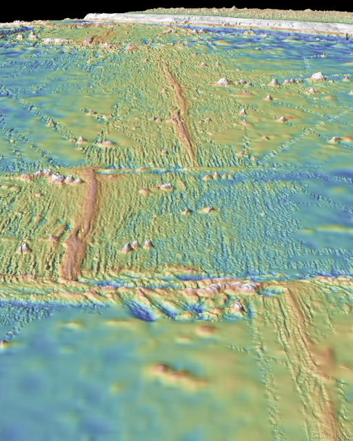 Along the East Pacific Rise from 7° N - 3D View (2008)