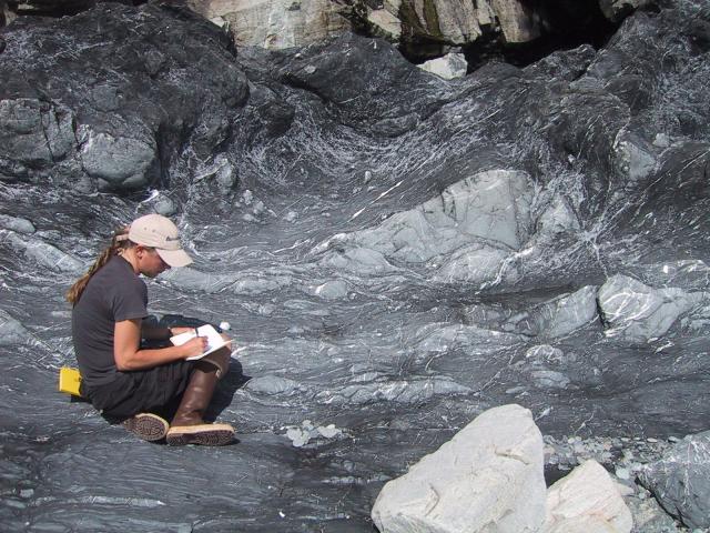 Disrupted turbidite sequence, Kodiak Islands (2010)