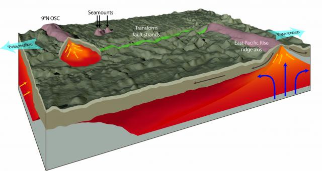 Melt region beneath Siqueiros Transform (2012)