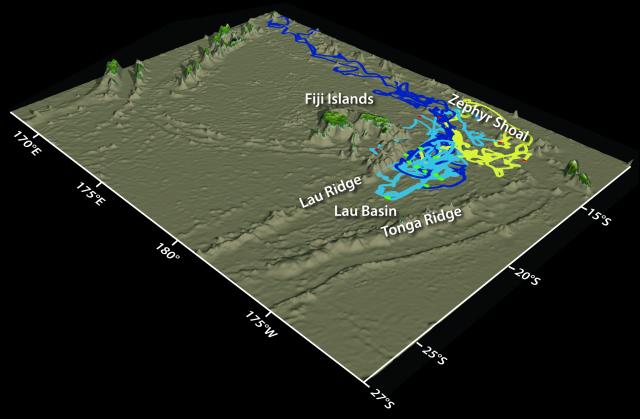 3D trajectories from LAUB-FLEX experiment